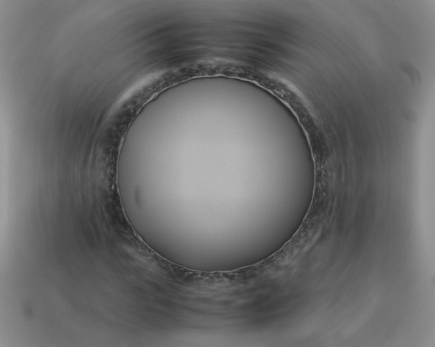 X0000114150919200910221543