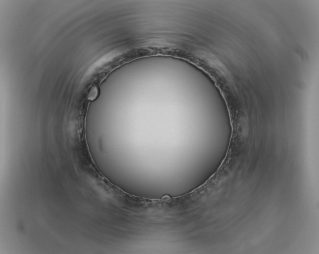 X0000114150920200910221543