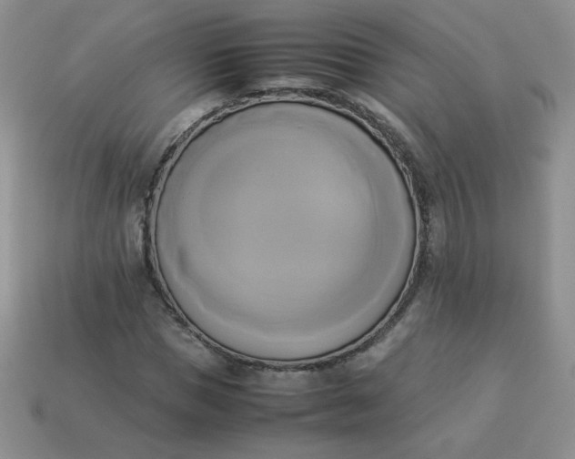 X0000114150921200910221543