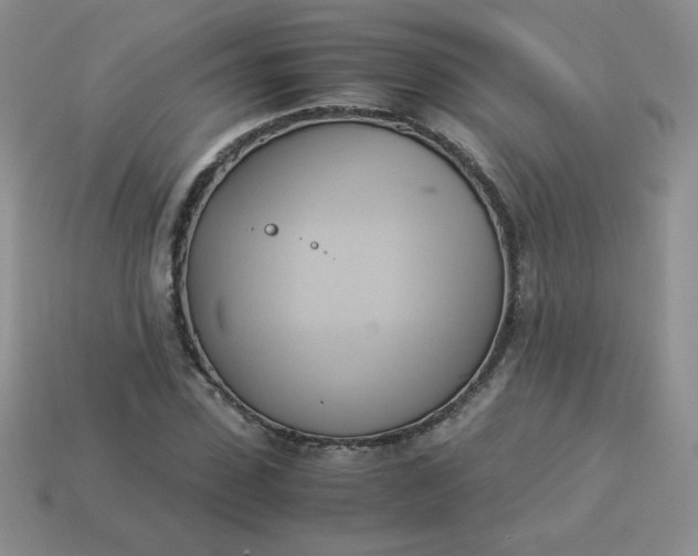 X0000114150923200910221543