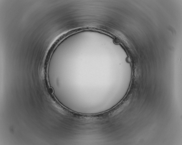 X0000114150924200910221543