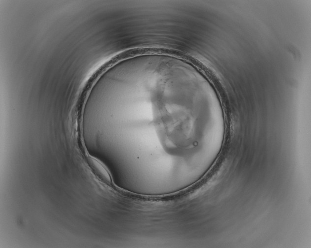 X0000114150925200910221543