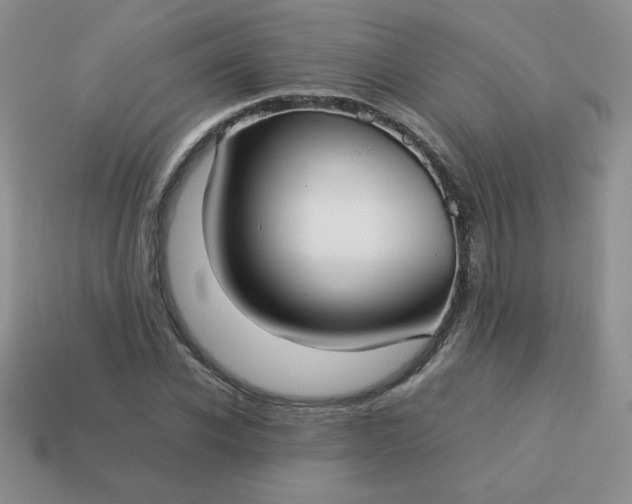 X0000114150926200910221543