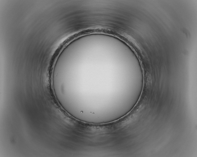 X0000114150927200910221543