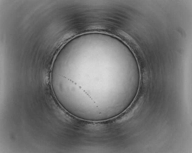 X0000114150929200910221543