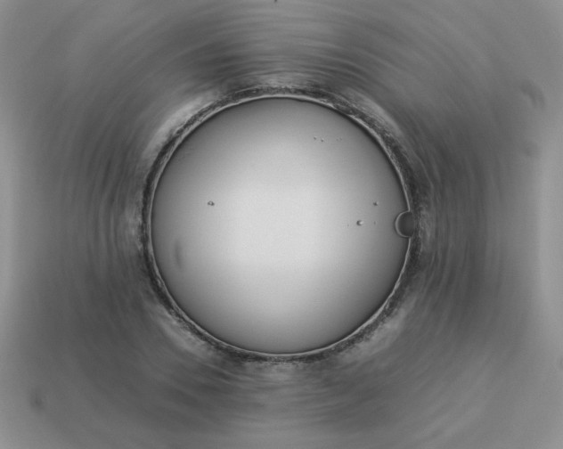 X0000114150930200910221543