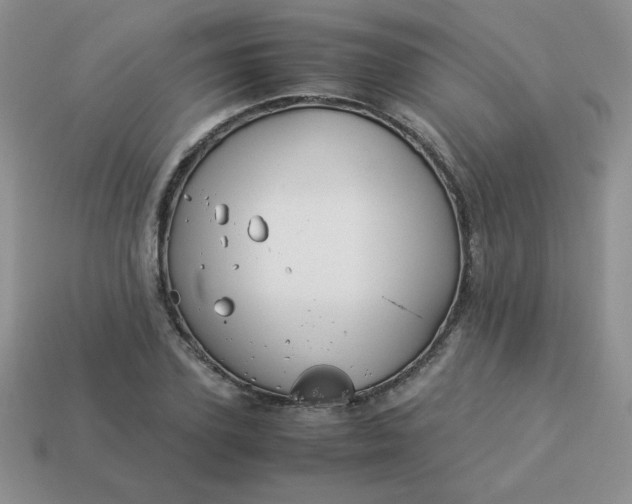 X0000114150931200910221543