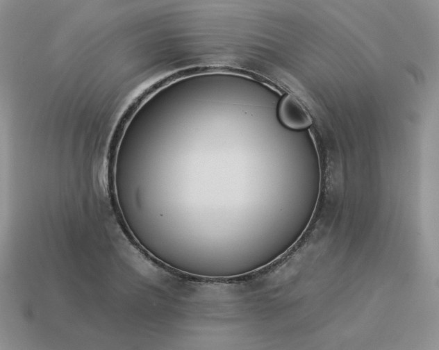 X0000114150932200910221543