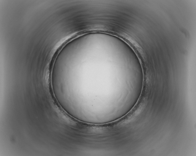 X0000114150933200910221543