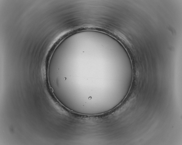 X0000114150934200910221543