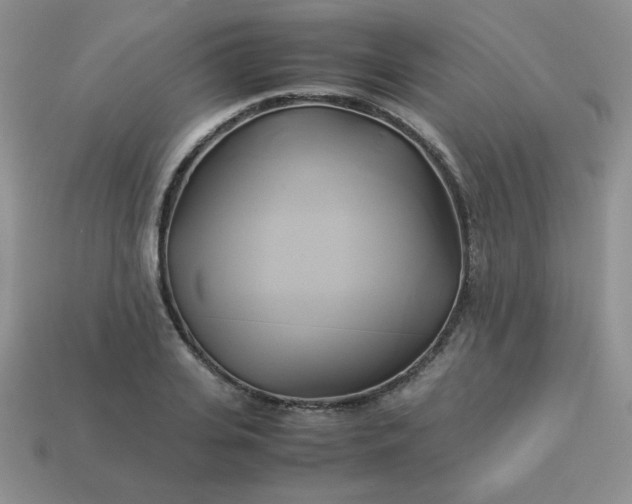 X0000114150935200910221543