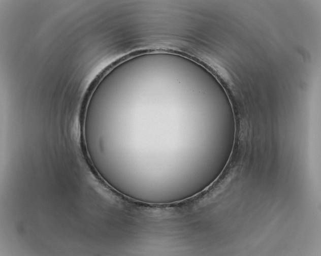 X0000114150936200910221543