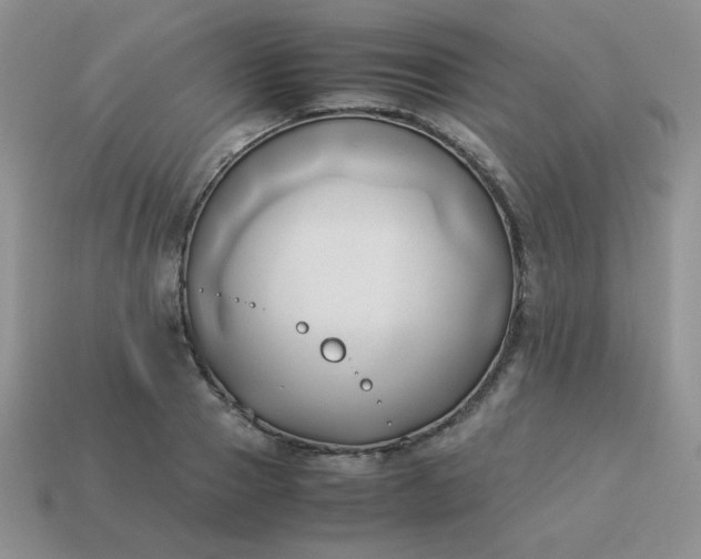 X0000114150937200910221543