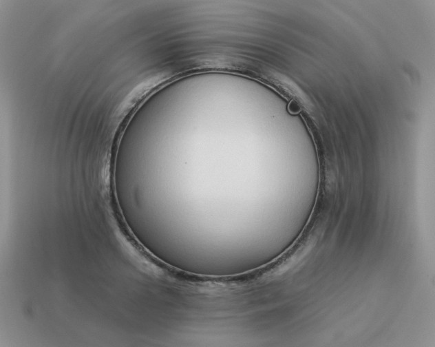 X0000114150938200910221544