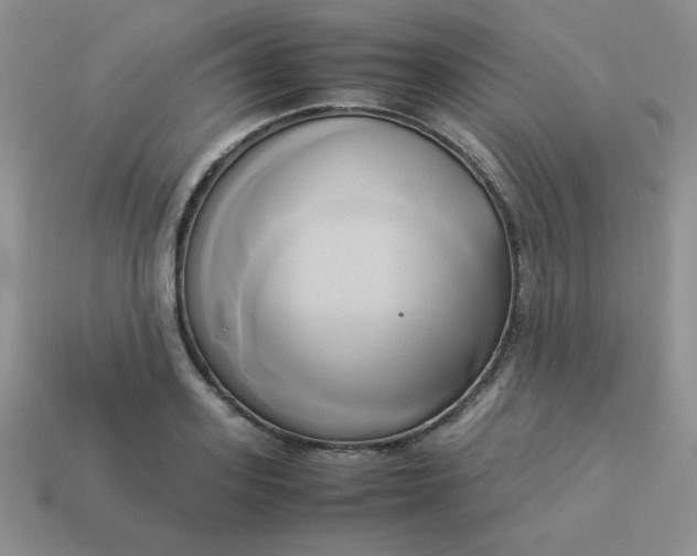 X0000114150939200910221544