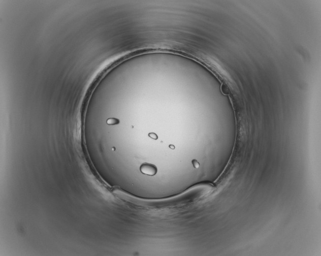 X0000114150940200910221544