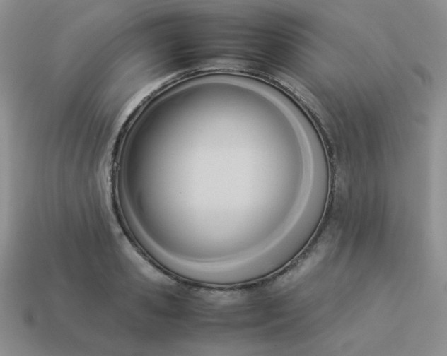 X0000114150941200910221544