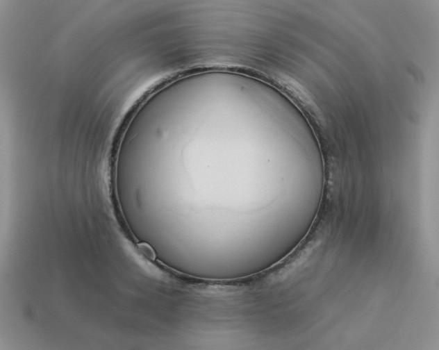 X0000114150942200910221544