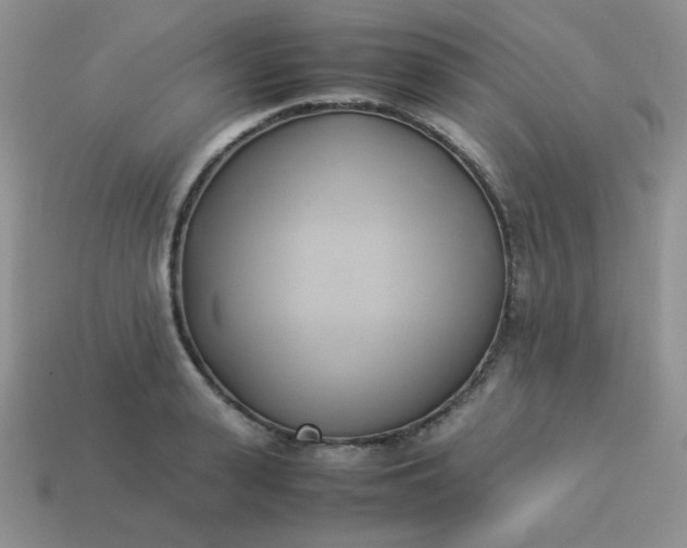 X0000114150943200910221544