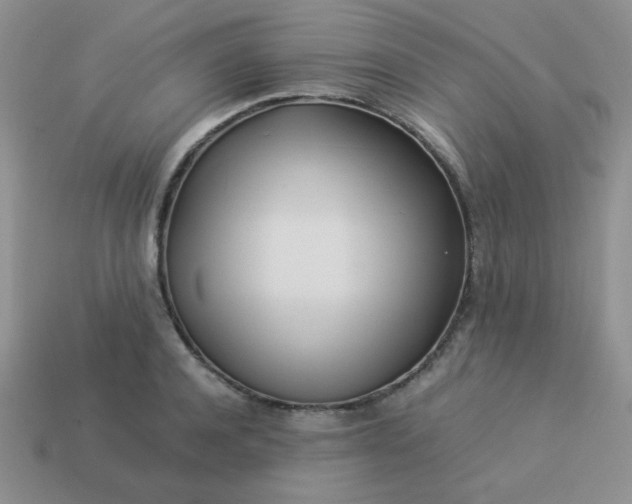 X0000114150944200910221544