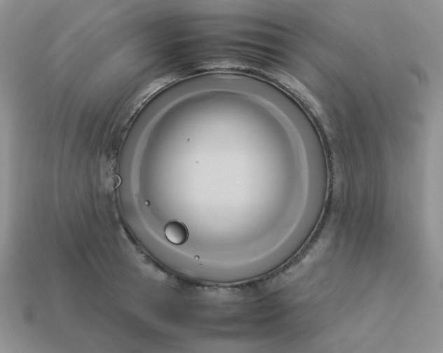 X0000114150945200910221544