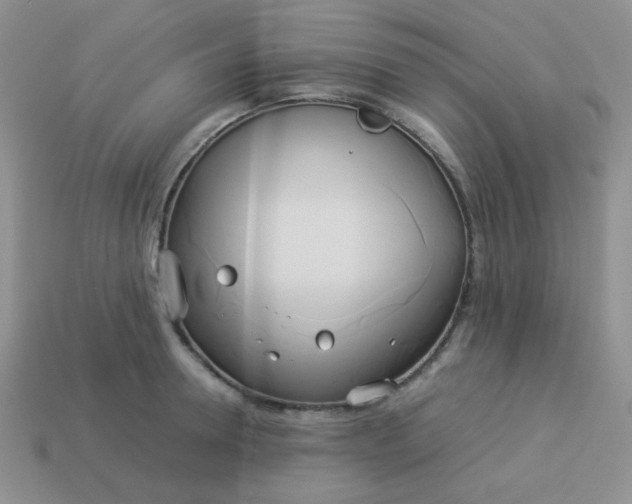 X0000114150946200910221544