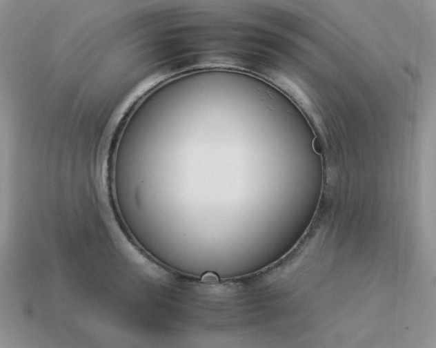 X0000114150947200910221544