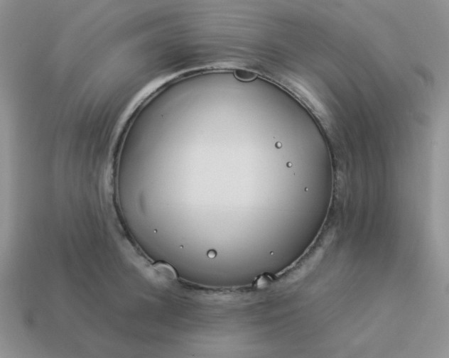 X0000114150948200910221544