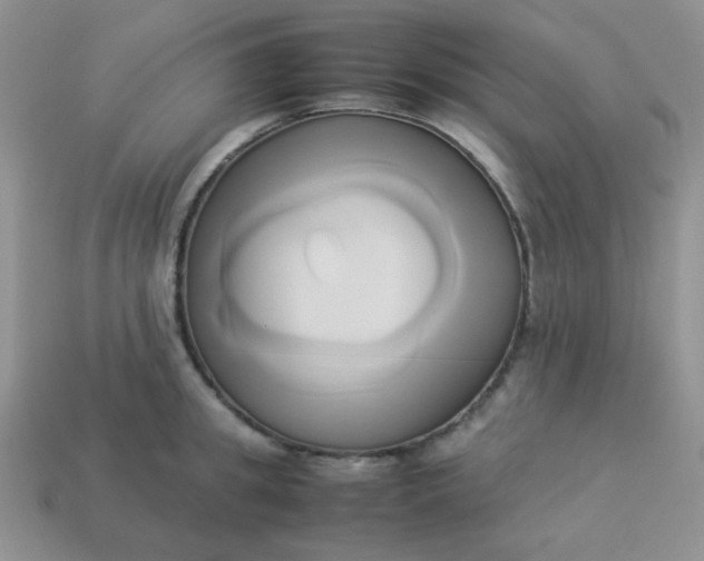 X0000114150949200910221544