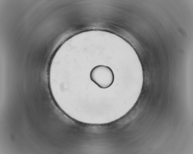 X0000114150950200910221544