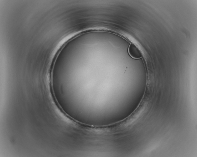 X0000114150951200910221544