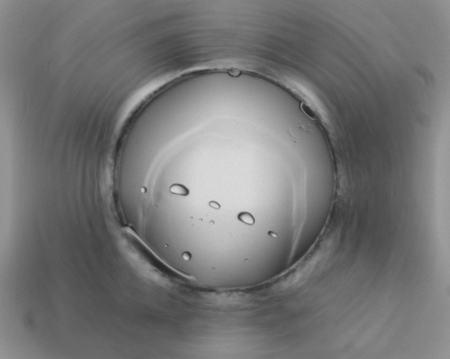 X0000114150952200910221544