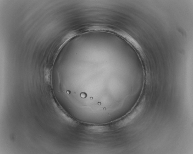 X0000114150953200910221544