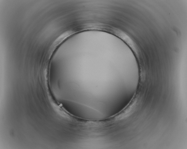 X0000114150954200910221544