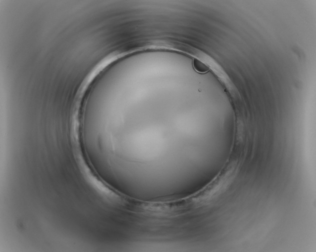 X0000114150955200910221544