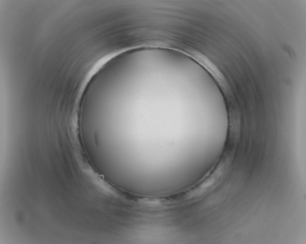 X0000114150956200910221544