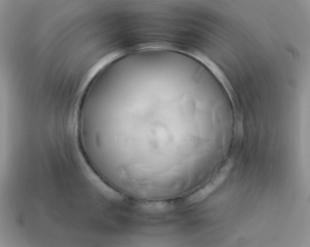 X0000114150957200910221544