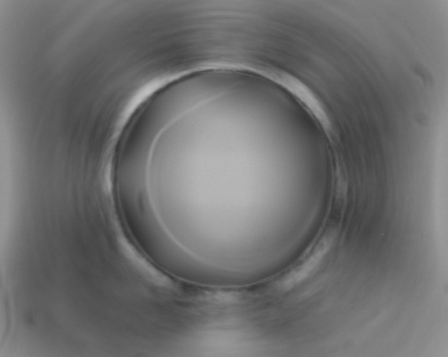 X0000114150958200910221544