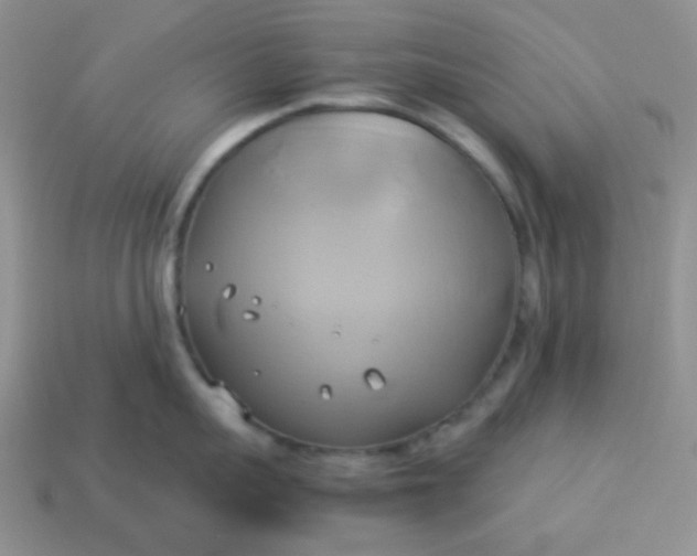 X0000114150959200910221544