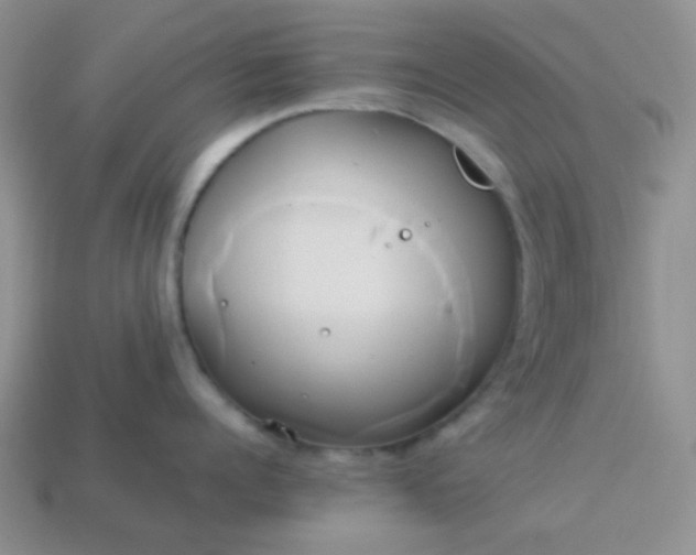 X0000114150960200910221544