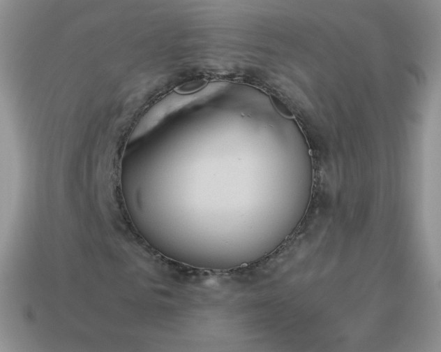 X0000114150961200910221543