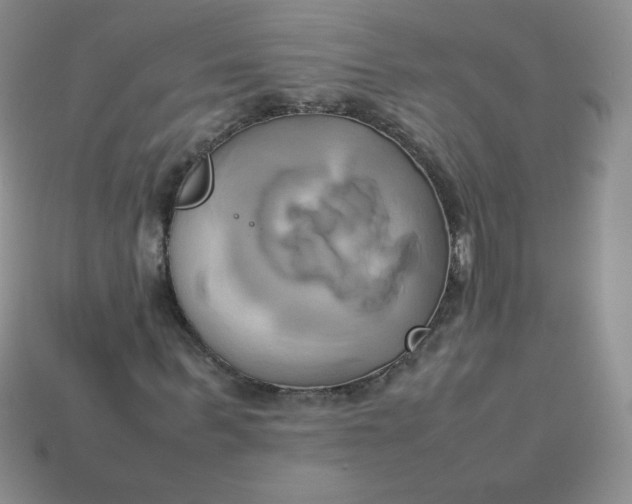 X0000114150963200910221543