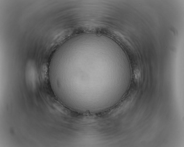 X0000114150964200910221543