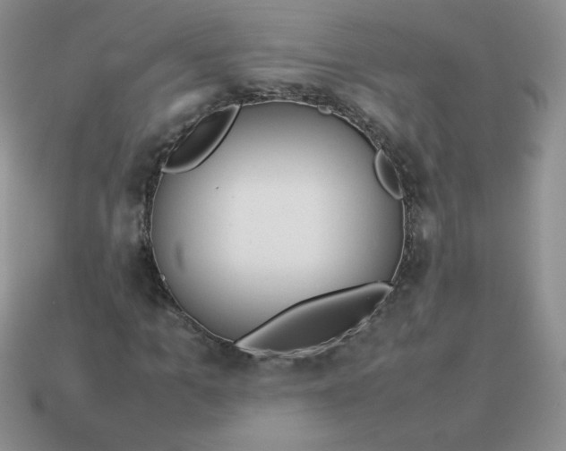 X0000114150965200910221543