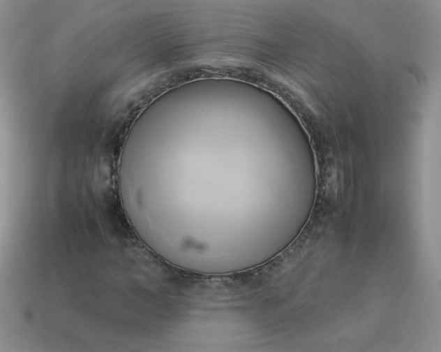 X0000114150966200910221543