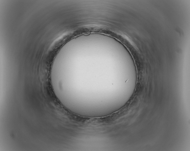 X0000114150967200910221543