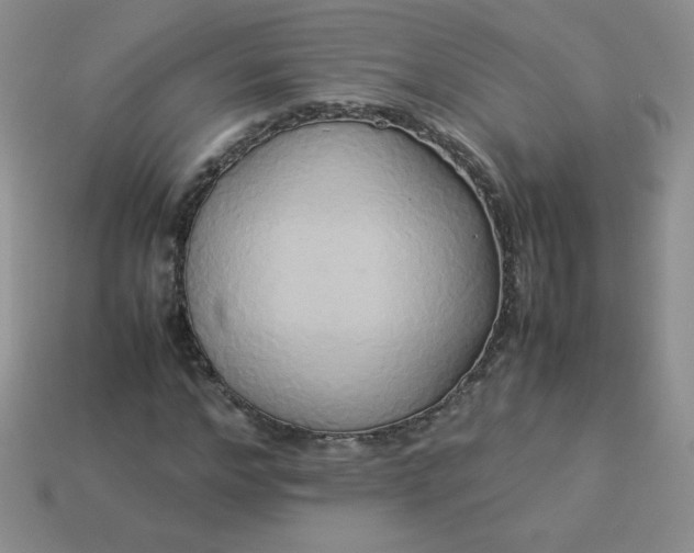 X0000114150968200910221543