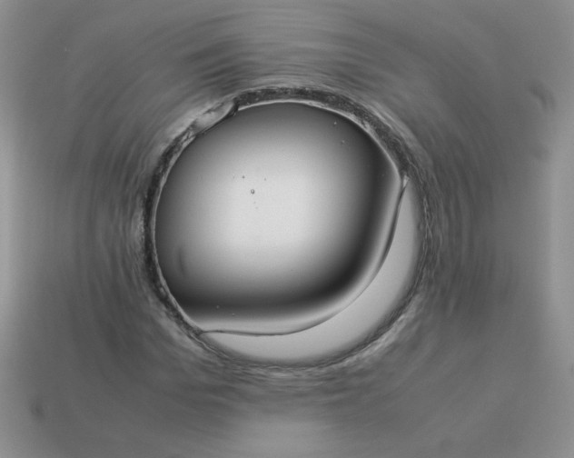 X0000114150969200910221543