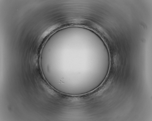 X0000114150970200910221543