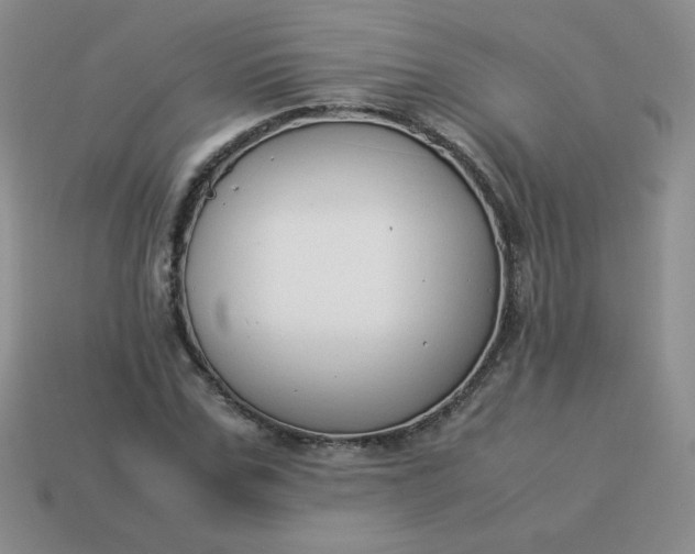 X0000114150971200910221543